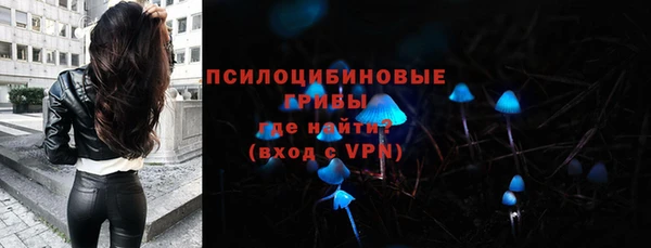 дмт Горнозаводск