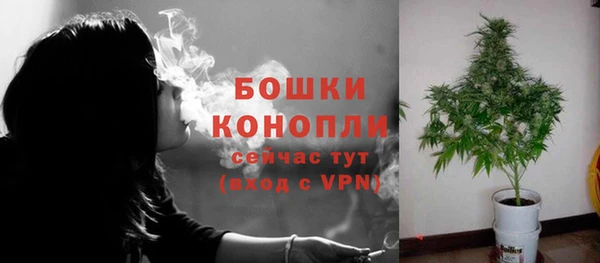 дмт Горнозаводск