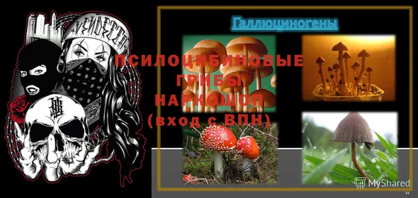 дмт Горнозаводск
