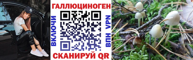Купить закладки  Скопин  Галлюциногенные грибы Magic Shrooms 